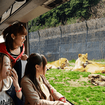 姫路セントラルパークのサファリ