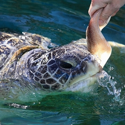 姫路市立水族館
