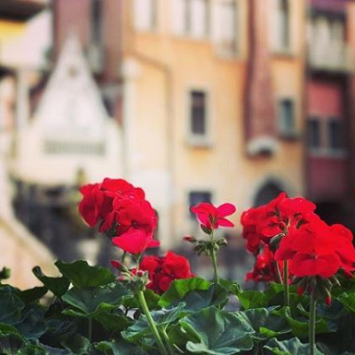 写真の有効期限はいつまで？