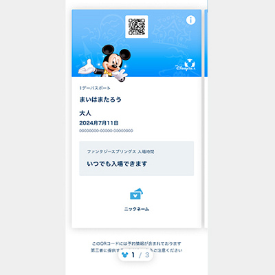 入場制限なしの見分け方①パークチケット