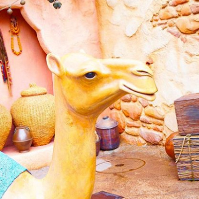 耳をすますとラクダの鳴き声が聞こえる！