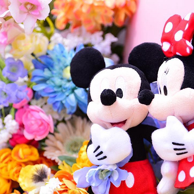 寄って撮影すると表情が引き立つ