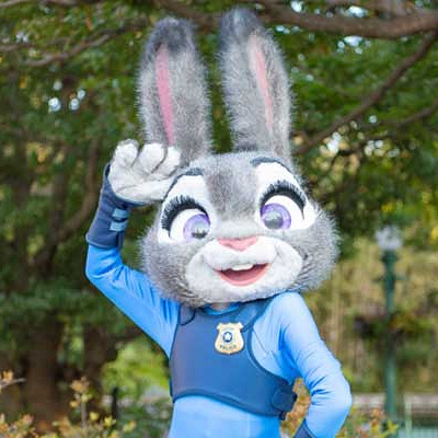 ジュディグリーティング