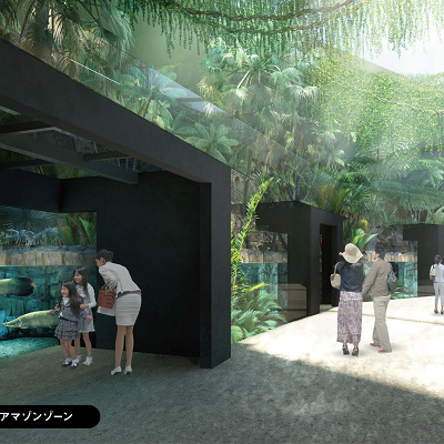 自然光が差し込むジャングルアマゾンゾーン