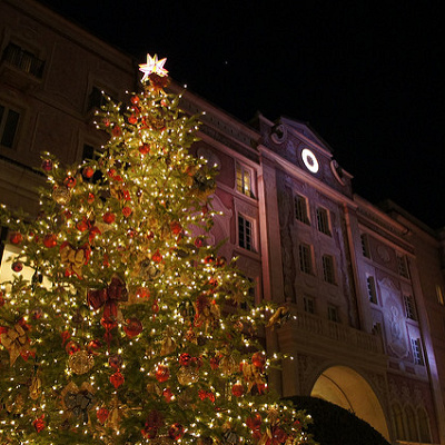 ジャングルクルーズ