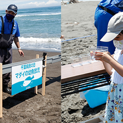 鴨川シーワールド　6月のイベント