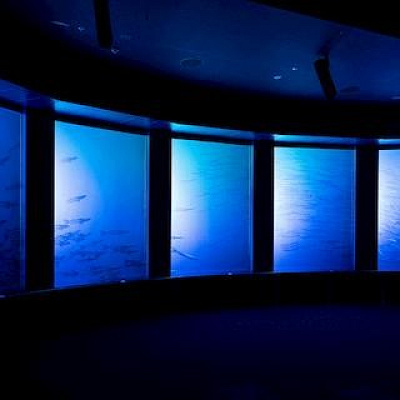 かりゆし水族館のバーチャル水槽