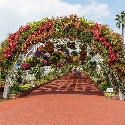 かしいかえんのフラワーガーデン