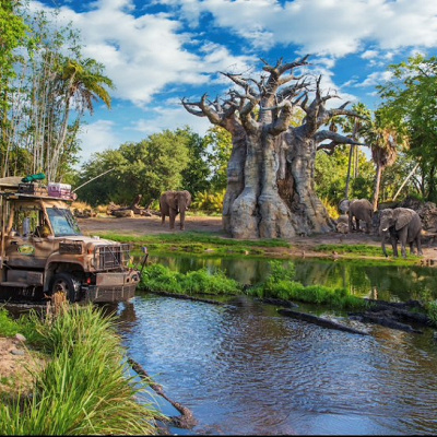 キリマンジャロ・サファリ