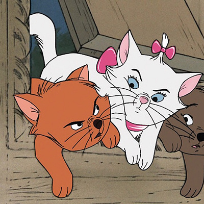 個性豊かな子猫たち