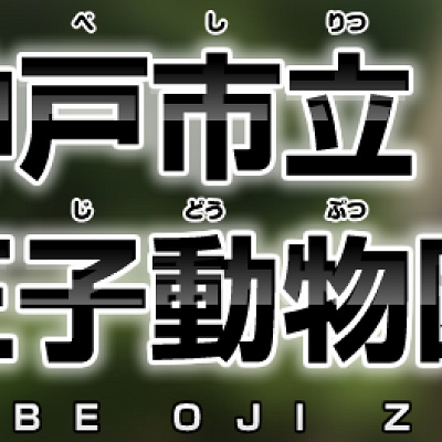 神戸市立王子動物園