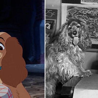 レディには実在する犬のモデルがいた