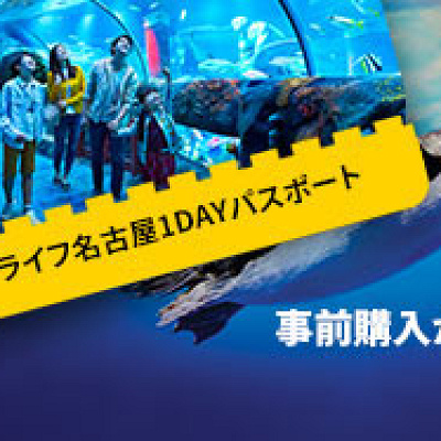 レゴランド水族館のチケット