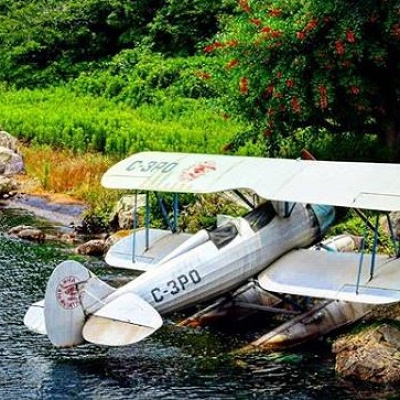 アトラクションに行く際にチェックしてみよう