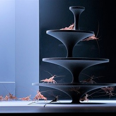 生き物の暮らし