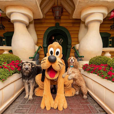 実写版『わんわん物語』