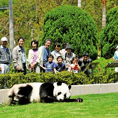 太陽の下でのびのび暮らしている様子