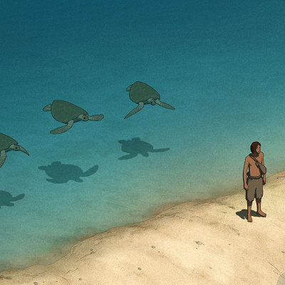 度々人間の前に現れるアカウミガメ／レッドタートル