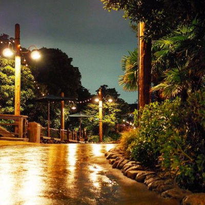 ロストリバーデルタの道