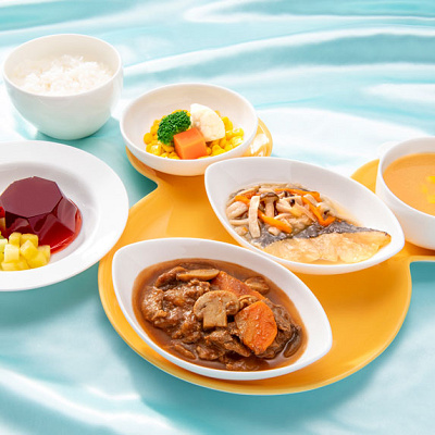 低アレルゲンプレートB