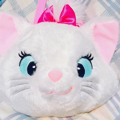 マリーちゃんのパスケース