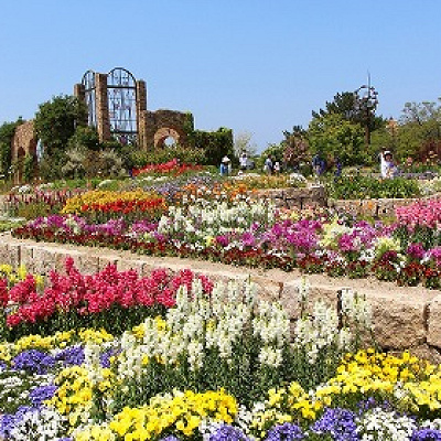 マリンワールドの料金：【割引】③セット券（620円引き）