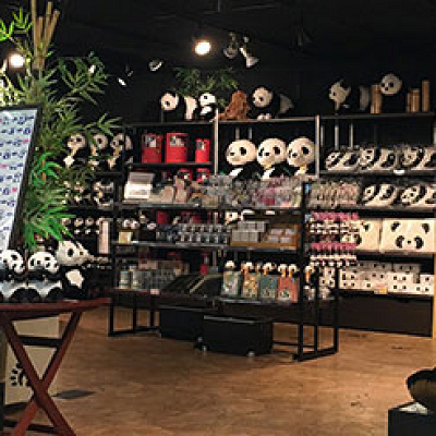 6頭のジャイアントパンダに会える！