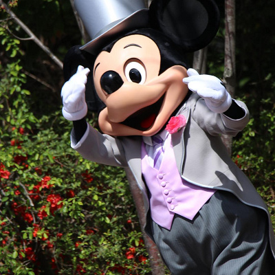 ミッキーたちが特別な衣装でお祝いしてくれる