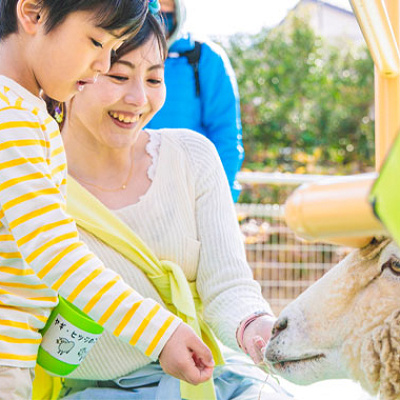 もぐもぐひろば