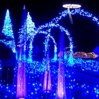 なばなの里　光の雲海