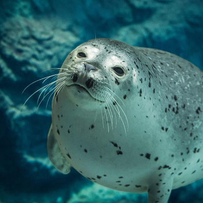 海遊館の最寄り駅