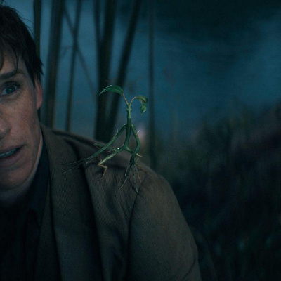 ニュート／ファンタビ３