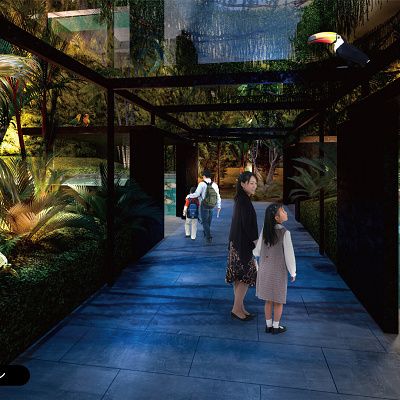 夜のジャングルアマゾンゾーン