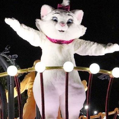 ナイトパレード「エレクトリカルパレード・ドリームライツ」