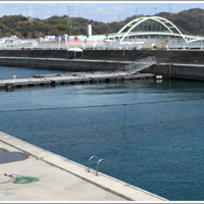 海洋釣り堀