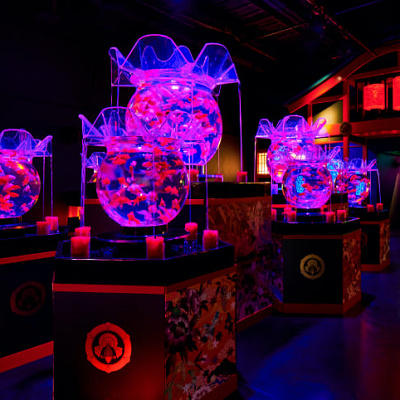 花魁道中／アートアクアリウム