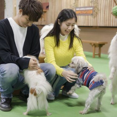 ワンタッチニャンタッチ