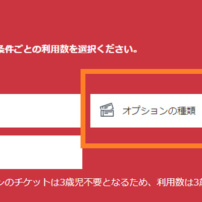 「オプションの種類」欄