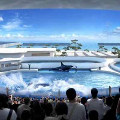 オルカスタディアム