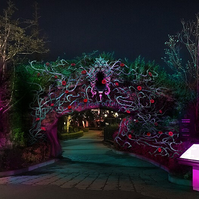 大人ハロウィーン・エリア ～呪われた薔薇園～