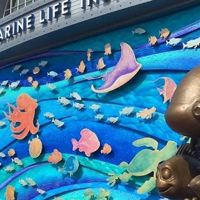 ニモ＆フレンズ・シーライダーの概要