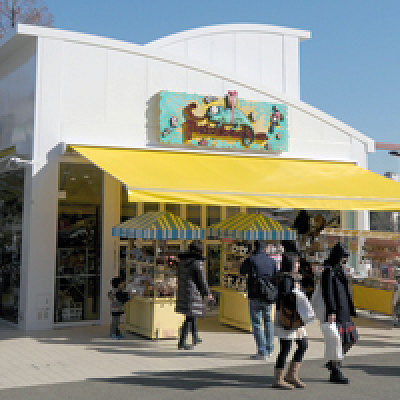 プチカメレオン