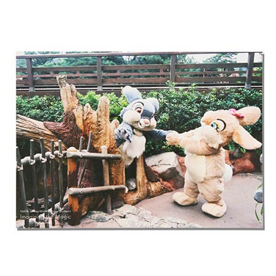 写真 2023年12月07日(木)発売（イマジニング・ザ・マジックグッズ）