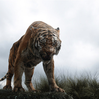 シア・カーンのプロフィール 