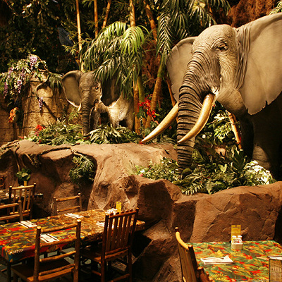 レインフォレスト カフェ（テーマレストラン）