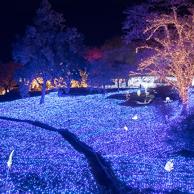 相模湖のイルミネーション：さがみ湖イルミリオン