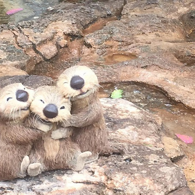 かわいすぎるラッコたち