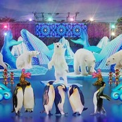 西武園イルミネーション