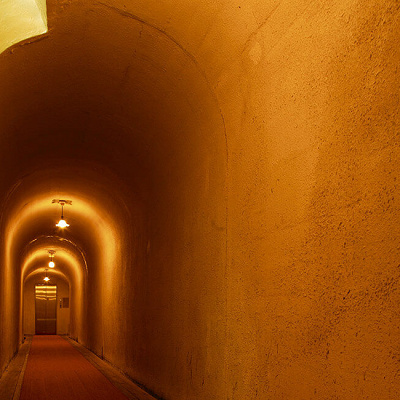 積善館・浪漫のトンネル(群馬県)