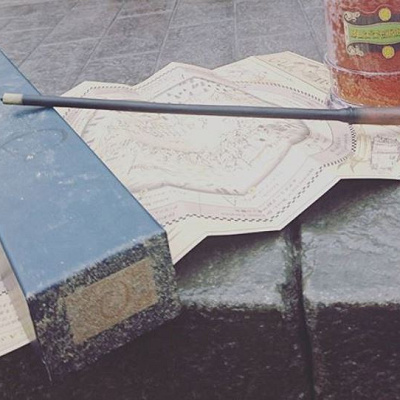 ショー体験者の杖